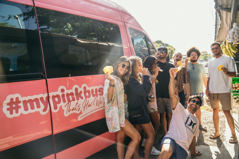 Gedeelde pendelbus van Panama Stad naar Playa VenaoPendeldienst van Panam naar Playa Venao