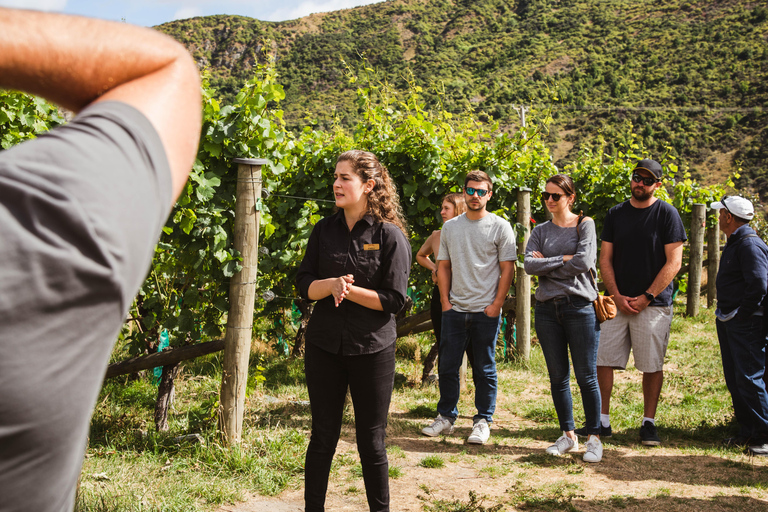 Passeio de helicóptero para degustação de vinhos em Queenstown