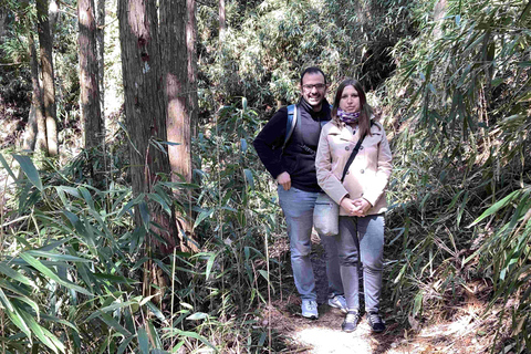 Da Osaka: escursione privata con guida al Monte Koya con veicoloFurgone fino a 7 posti