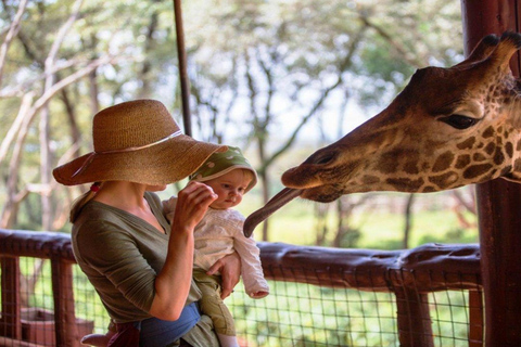 Tour di un giorno del Parco Nazionale di Nairobi e del Centro delle Giraffe