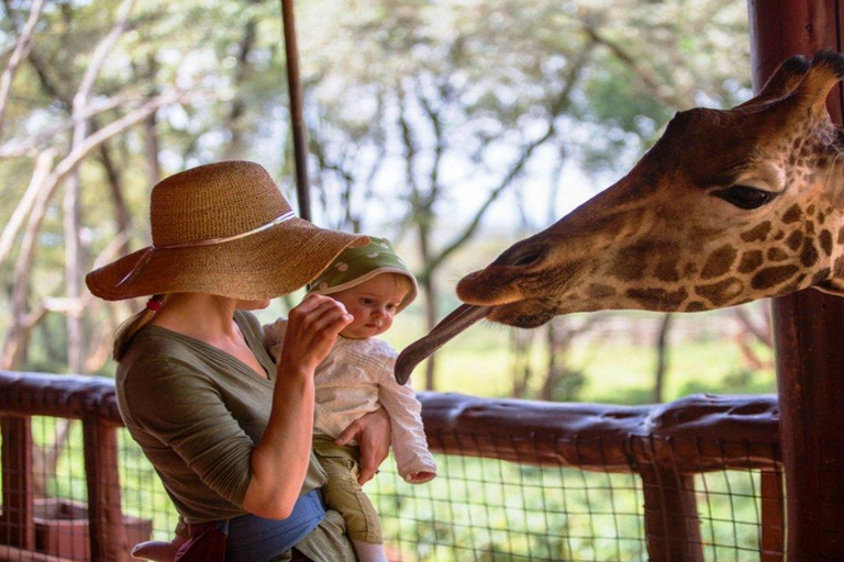 Tour di un giorno del Parco Nazionale di Nairobi e del Centro delle Giraffe