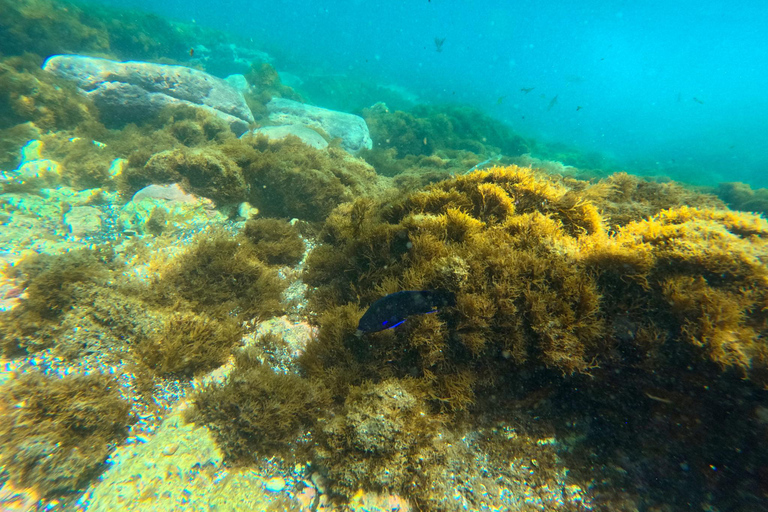 Vila Franca Islet: Snorkeling Inside the Crater