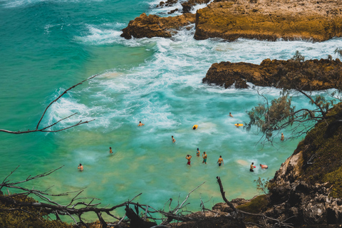 Isola di North Stradbroke: Escursione di un giorno con la fauna selvatica e la spiaggia8:30 YHA Brisbane City Servizio di prelievo