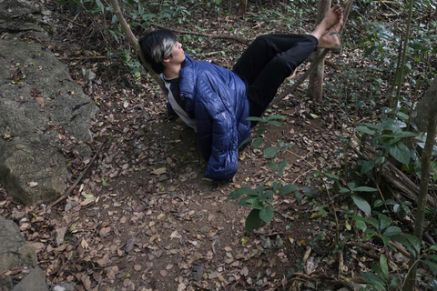 Half day Hiking Cat Ba National Park With guide