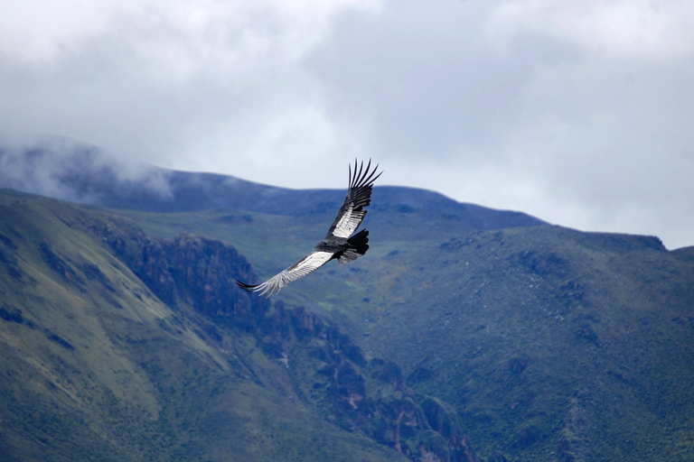 Colca Canyon Plus 2 dagen