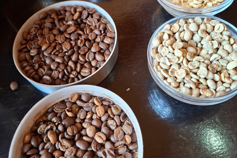 TOUR GIORNALIERO DELLA FATTORIA DEL CAFFÈ FAIRVIEW