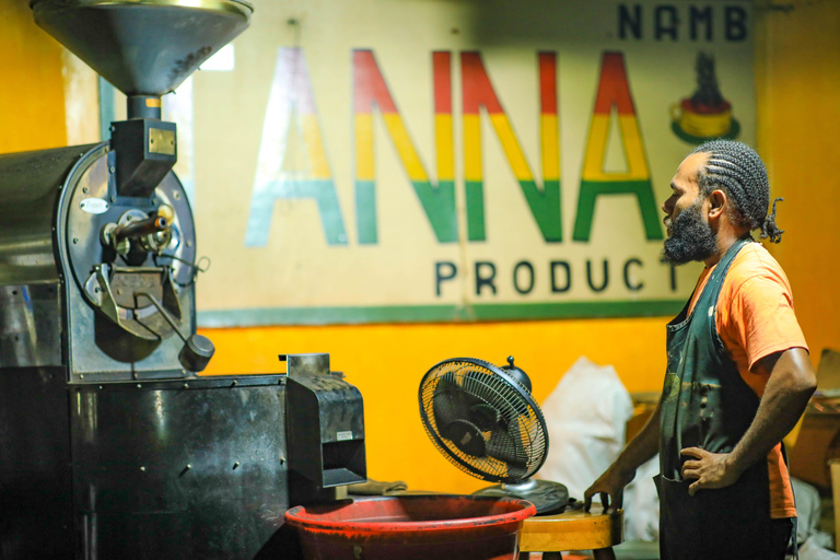 Port Vila: Zipline, Tanna Coffee Factory & Island Tour