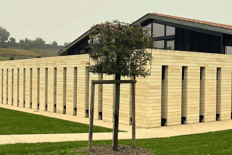 Bordeaux : Unforgettable Saint Emilion Half Day Wine Tour