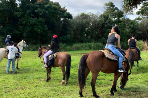 MONTRAGE À DOS DE CHEVAL PUERTO PLATA baie de taino et crique d'ambre