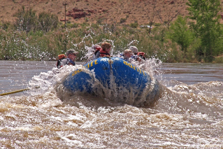 Colorado River Rafting: Halbtag am Nachmittag bei Fisher Towers