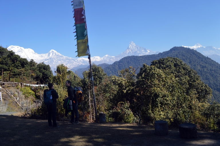 Von Pokhara: 2 Tage Australian Camp - Dhampus Trek