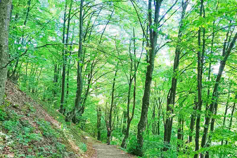 Waterfal Skakavac in Sarajevo - A Half-day Tour