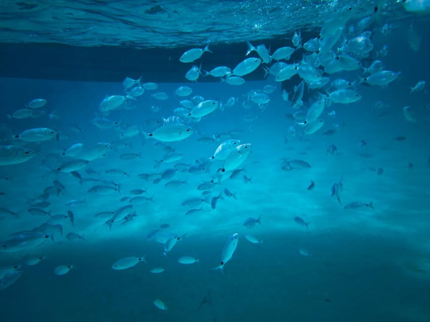 HalfDay Boat &Snorkeling tour to La Maddalena GetYourGuide