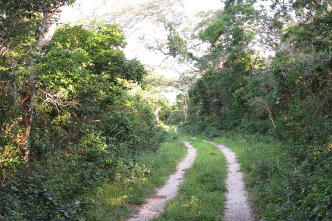 Malindi/Watamu: Half day adventure in Arabuko Sokoke Forest