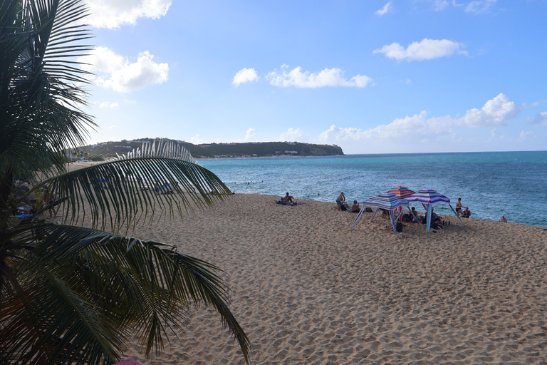St. Maarten: Island Tour with Maho Beach and Marigot