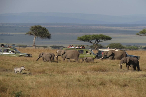 Ab Nairobi: 5-tägige Amboseli, Tsavo West &amp; Ost Safari