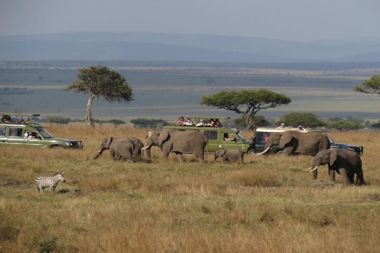 Masai Mara 3Days Joining Safari at Sopa Luxury Lodge by Jeep