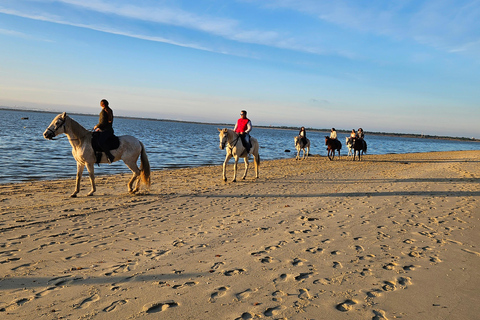 Montar a caballo en la playa - PDTPaseos a caballo por la playa en grupo