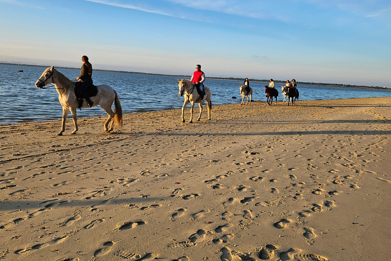 Montar a caballo en la playa - PDTPaseos a caballo por la playa en grupo