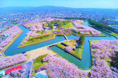 Hokkaido Hakodate 2D1N Tour en autobús por los Cerezos en Flor desde Sapporo2 Personas/1 Habitación