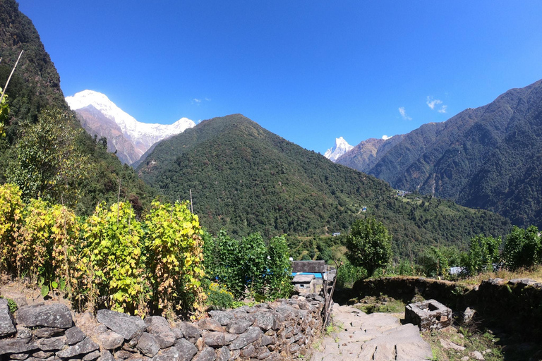 Pokhara: 7-Day Annapurna Base Camp & Jhinu Hot Springs Trek