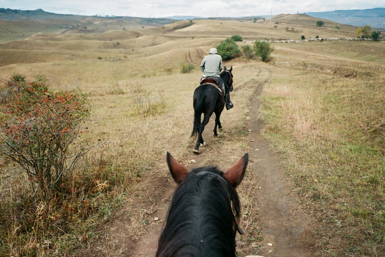 Hammamet: Nature Horse Riding Experience in the Hills