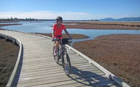 Nelson: Self-Guided Great Taste Trail Bike Ride to Mapua
