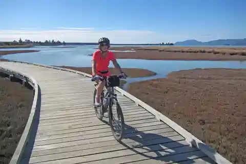 Nelson: Passeio de bicicleta costeiro do Great Taste Trail até Mapua