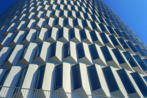 Copenhagen Architecture: 3-Hour Expert-Led Bike Tour Private Tour - EN/FR/ES/IT - 3 hours