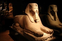 Turin, Torino+Piemonte 5-Day City Card - Housity