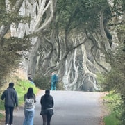 Belfast: Private Custom Tour with Driver and Guide