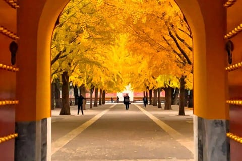 Beijing: Zhongshan Park Entrance Ticket