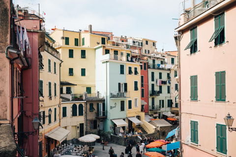 De Florence: transfert aller-retour vers Pise et Cinque Terre