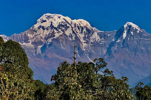 Katmandu: Rapid Ghorepani Poon Hill Trek med guide