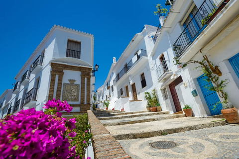 From Granada: Day trip Nerja &amp; Frigiliana