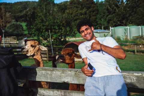 Auckland: Sheepworld, Honey Centre, & Kauri Trail Tour