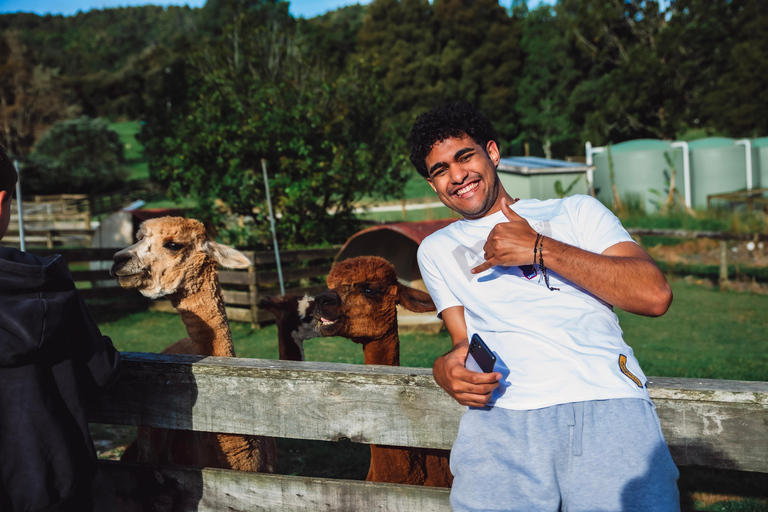 Auckland: Sheepworld, Honey Centre, & Kauri Trail Tour