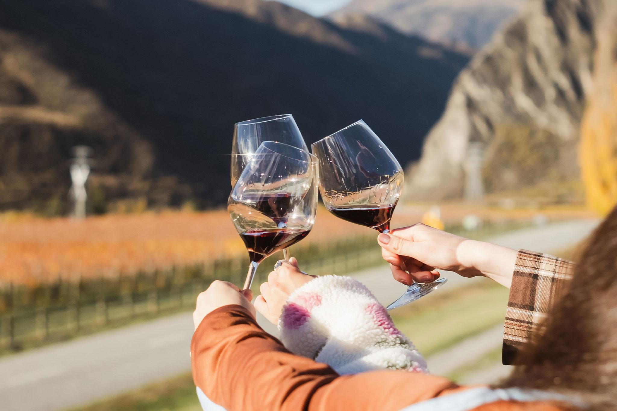 Queenstown: Weinprobe in kleiner Gruppe mit über 18 Verkostungen