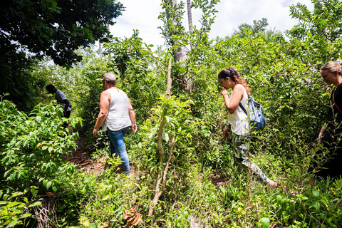 Secret Beach, Kuza Cave and Jozani forest with transfer