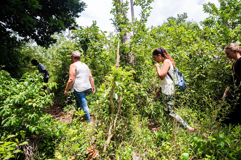 Secret Beach, Kuza Cave and Jozani forest with transfer