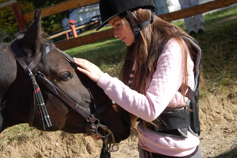 Brașov: Horseback Riding Experience