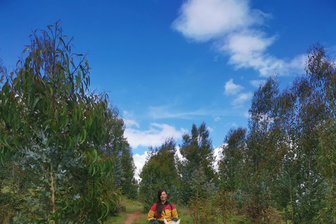 Cusco: Horseback Riding Tour to Inca Temples and Viewpoints