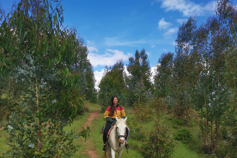 Cusco: Horseback Riding Tour to Inca Temples and Viewpoints