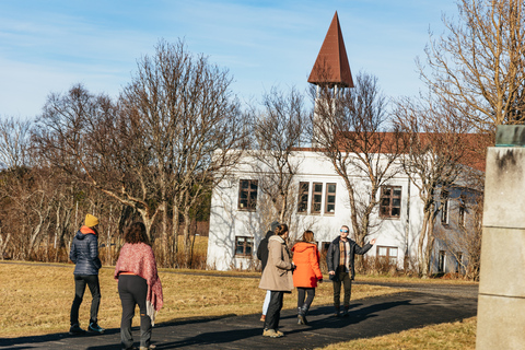 Reykjavik: tour del Silver Circle, dei bagni del canyon e delle cascate