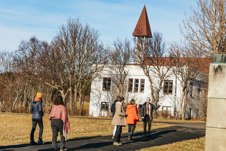 Reykjavik: Silver Circle, Canyon Baths und Waterfalls Tour