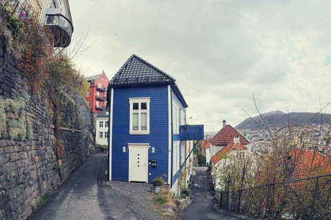 Bergen's Schemermagie: Een AvondavontuurBergen: privé wandeltour in de vroege avond