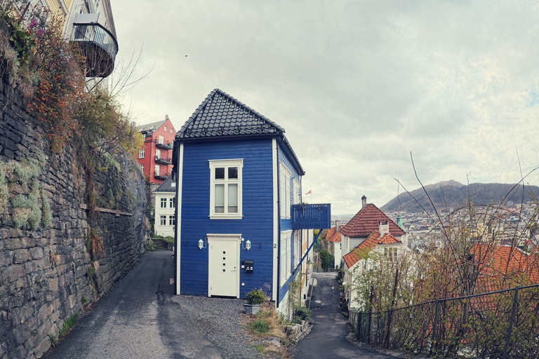 Bergen's Schemermagie: Een AvondavontuurBergen: privé wandeltour in de vroege avond