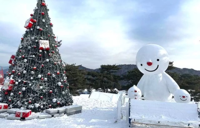 Visit Seoul SnowyLand in Vivaldi Park with Nami or Alpaca in Seúl