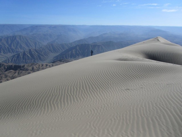 Visit Excursion to San Fernando bay + Sandboarding in Nazca in Nazca