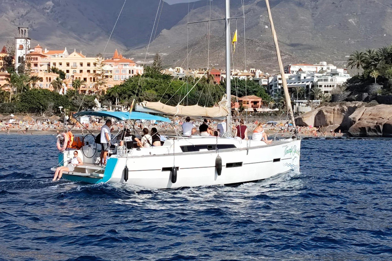 Boat Trip: Dolphin & Whale Watching Sailing Tour 11 Pax Max Boat Trip: Dolphin & Whale Watching Sailing Tour 11 Pax Max